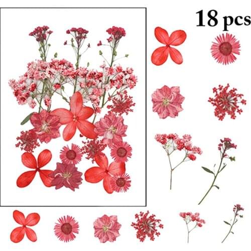 18PCS Kapmore Real Dried Flowers Creative Lightweight Mixed Dry Flowers Pressed Flowers DIY Nail Art Sticker for Women Girls