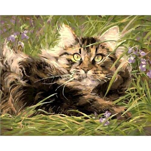 Painting By Numbers Kids Cat Acrylic Canvas For Drawing 60X75Cm Photo Frames For Picture Decoration Bedroom Adult Gatyztory Diy