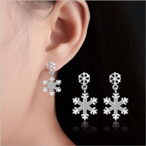 Everoyal Silver Earrings