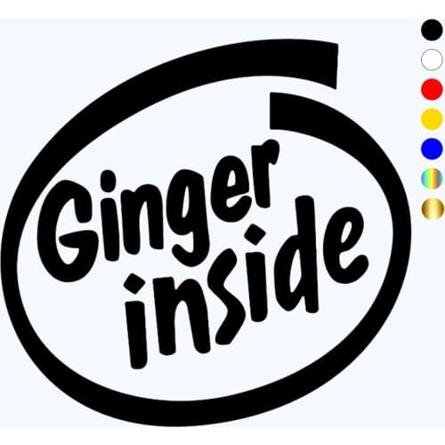 CK3056# Oval giner inside funny car sticker vinyl decal silver/black car auto stickers for car bumper window