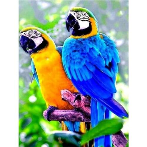 Full Diamond embroidery animal Diy Diamond painting cross stitch parrot 3d Diamond mosaic round icon Paste the whole FR344