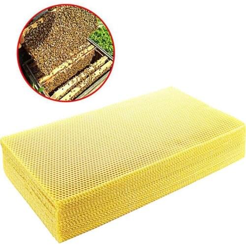 10Pcs/set Natural Honeycomb Bee Wax Foundation Sheets Paper Nest Flake Tool Wax Beekeeping Honeybee Candlemaking Base Z2G6