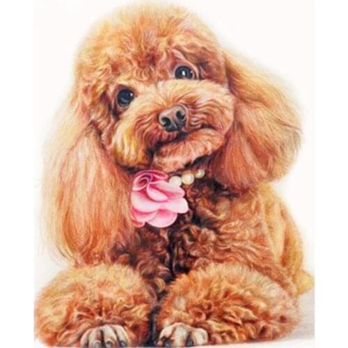 5D Needlework Diamond Painting Animal Cute Poodle Cross Stitch Diamond Embroidery Rhinestones Mosaic Kit Square Round Drill L600