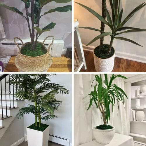 667A 850g Artificial Fake Dried Green Moss Brick Preserved Faux Lichen Block for Flower Plants Garden Lawn Crafts DIY Decor