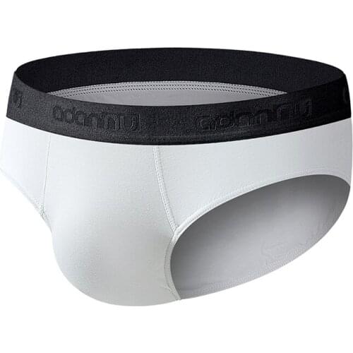 2020 ADANNU Brand mens underwear briefs modal underwear for men classical cuecas 1pcs shorts