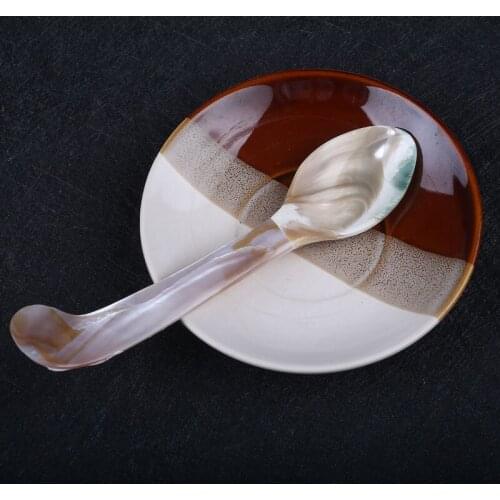 Natural Mother Of Pearl Shell Spoon