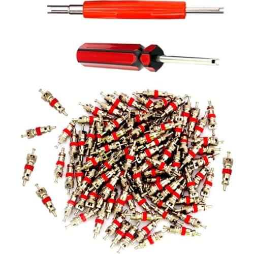 Valve Core Remover with 100 Pcs Car Truck Replacement Tire Tyre Valve Stem Core Dual Single Head Valve Core Remover Tire Repair