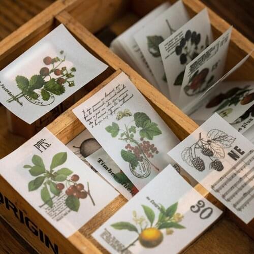 100pcs/lot Retro Plants Collection Paper Sticky Notes Translucent Flower Memo Pad Diary Stationary Flakes Scrapbook Decorative V