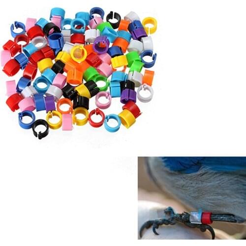 100PCS Chicken Leg Ring Poultry Ankle Leg Buckle Color Label Buckle Ring For Chicken Duck Pigeon Farming Distinction