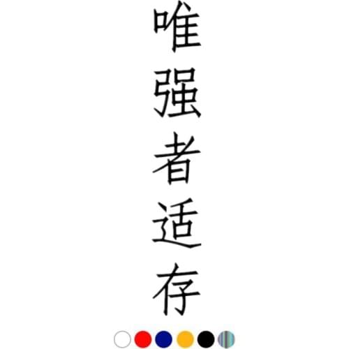 CS-11033# Hieroglyph The Strongest Survives Die-Cut Vinyl Decal Car Sticker Waterproof Auto Decors on Truck Bumper Rear Window