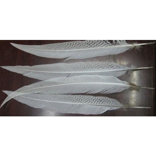 Free Shipping 100pcs Silver pheasant Feathers 45-50cm 18-20inch White pheasant silver Feathers DIY Feathers Cloth accessory