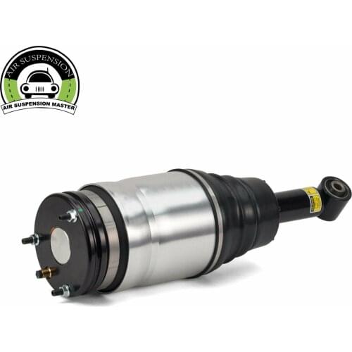 OE#RPD501100 RPD501090 RPD500880 RPD000308 RPD000309 RPD501110 RPD500434 RPD500433 Rear Air Strut for Land Rover Discovery 3