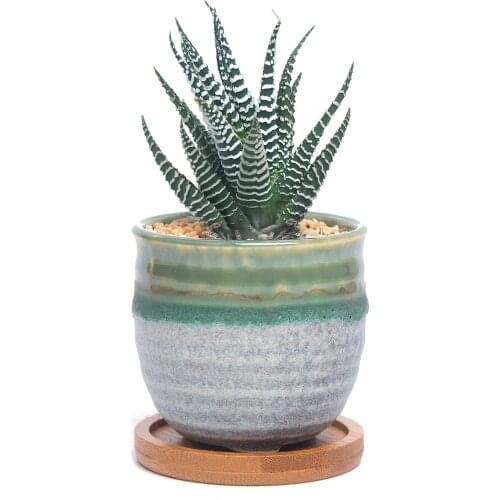 Ceramic Succulent Cactus Planter Plant Pot With Bamboo Tray Summer Trio Green Home Windowsill Bonsai Decoration