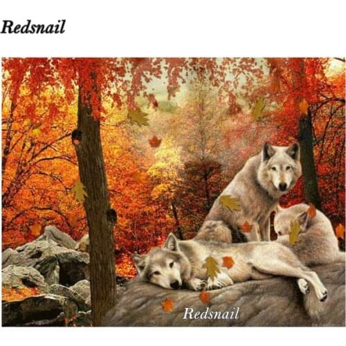 New 5D Diy diamond painting Forest wolves pattern mosaic diamond full square round diamond embroidery rhinestones decor EE362