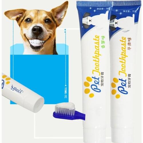 Pet Dog Toothpaste Teeth Cleaning Toothpaste Oral Edible Dog Puppy Cat Toothpaste Teeth Cleaning Care Oral Hygiene Pet Supplies