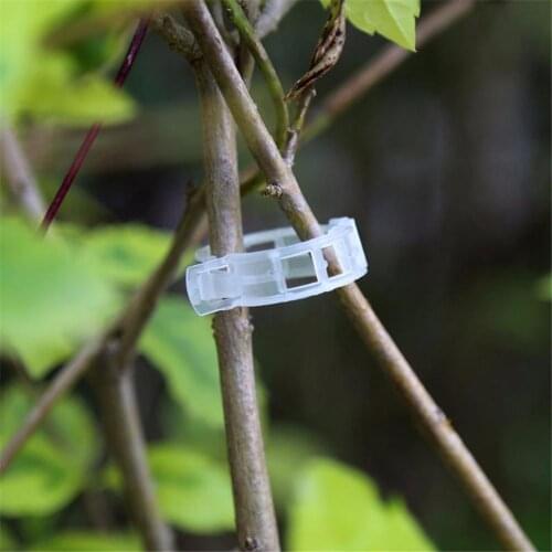 50pcs Reusable Plant Tomato Clips Garden Plant Holder Greenhouse Plant Seeding Vines Clamp Vegetables Fixing Clip Binding Tool