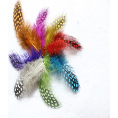 Wholesale 20pcs high quality beatiful natural guinea fowl feather 5-8cm / 2-3inch Decorative diy Mixed color