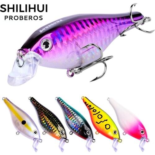 SHILIHUI Fishing Lure For Carp