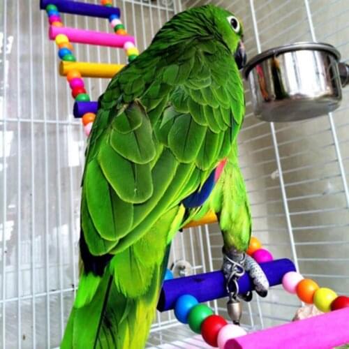 Pet Bird Toys Ladder Wooden Swing Training Multicolor Rainbow Hamster Parrot Parakeet Ladder Hamster Toy