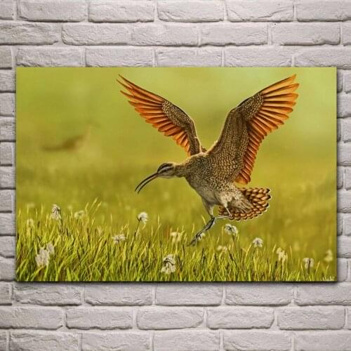 Animal art bird spring nature posters on the wall picture home living room decoration for bedroom EA121