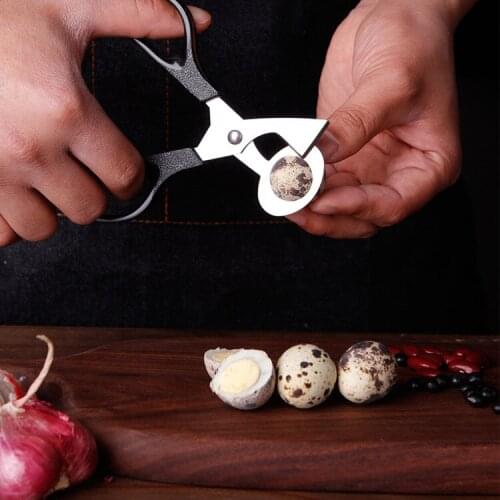 Stainless Steel Scissors Egg Scissors Cigar Trick Egg Bird Egg Kitchen Manufacturers