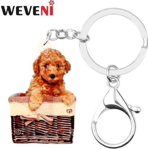 WEVENI Acrylic Pitiful Teddy Puppy Dog Basket KeyChain Key Rings Fashion Pet Design Jewelry For Women Girls Charms Gift