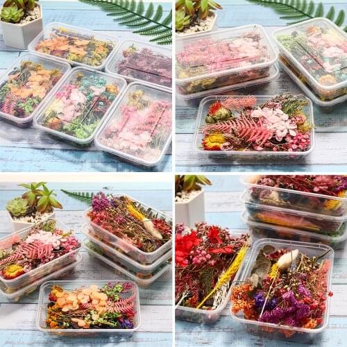 1Box Real Dried Flower Dry Plants For DIY Epoxy Resin Necklace Pendant Jewelry Making Craft Aromatherapy Candle Accessories