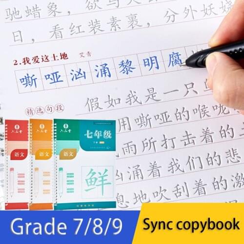 7/8/9 Grade Copybook Books Pupils Practice With Pencil Copy Course Synchronization Red Livres For Beginner Hong Libros Libro Art
