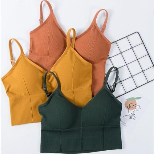 Padded Bra Sexy Womens Crop Tops Vest Bustier External Wear Tank Tops Lady Summer Sexy Popular Comfortable Lingerie 6 Colors
