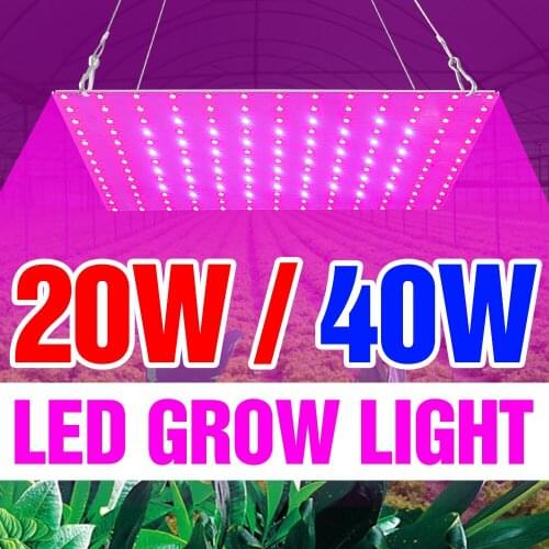 BiaRiTi Growing LED Full Spectrum Plant Growth Lamp 20W 40W Grow Light LED Greenhouse Light 220V Flower Seedling Phytolamp 110V