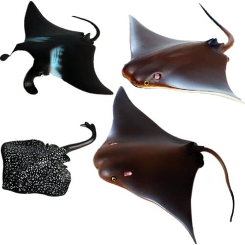 Детские скейтборды WILD FRUIT China At AliExpress