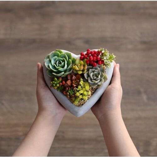 Silicone Mold Planter Molds Heart Shapes Cement Multi-meat Flower Pots Mould Plants Potted Vase Molds PRZY Eco-friendly 54125