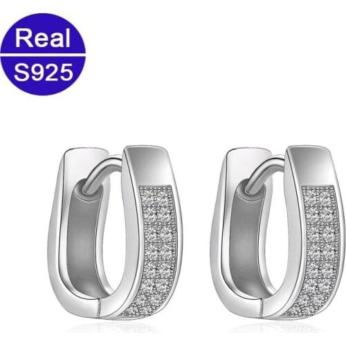 Red Trees Brand Fine Jewelry Fashion Samll Zircon Real 925 Sterling Silver Hoop Earrings New Year Gifts For Women Dropshipping