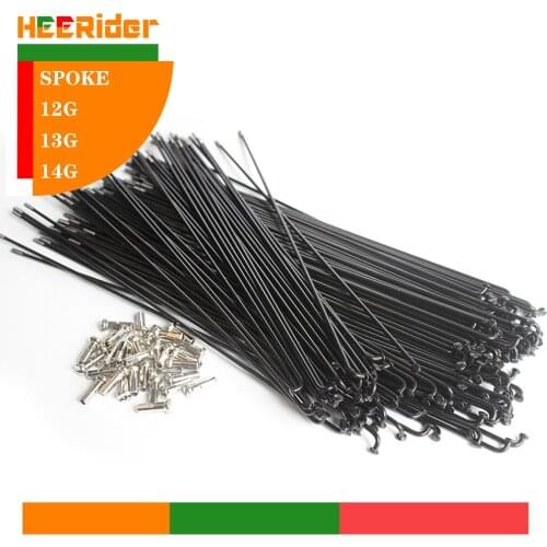 Customized Spoke Radius knitting Needle Stainless Steel 12G 13G 14G 30mm to 300mm Black Bicycle Electric Bike Copper Nipple