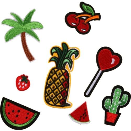 Iron on Patches for Clothing Embroidery Cactus Badge Stickers for Clothes Jeans Applications DIY Iron on T-shirt Dresses Patch