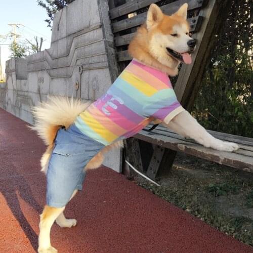 Spring Summer Big Dog Clothes Jumpsuit Large Dog Clothing Outfit Corgi Japanese Akita Samoyed Husky Golden Retriever Costumes