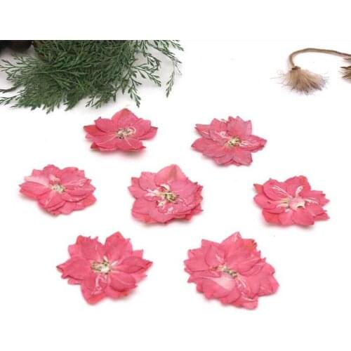 120pcs Pressed Dried Natural Pink Consolida Ajacis Flowers Plants Herbarium For Jewelry Phone Case Frame Postcard Bookmark DIY