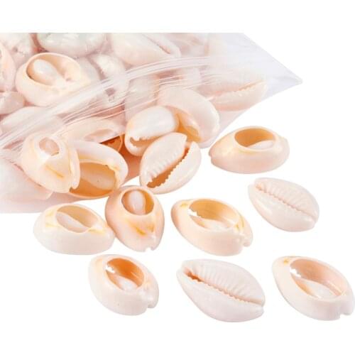 Mixed Spiral Shell Beads Cowrie Shells PapayaWhip for Craft Jewelry Making DIY Findings18~20x13~14x6~8mm about 340pcs/500g