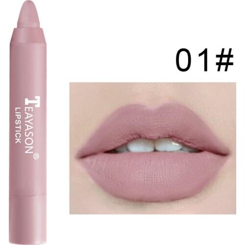 Sexy Light Pink Matte Lipsticks Waterproof Matte Lipstick Lip Sticks Cosmetic Easy To Wear Matte Batom Makeup Lipstick 12 Colors