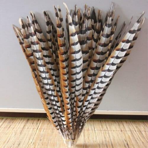 Wholesale perfect 10pcs high quality natural Pheasant feathers 20-22inch/50-55cm Decorative diy