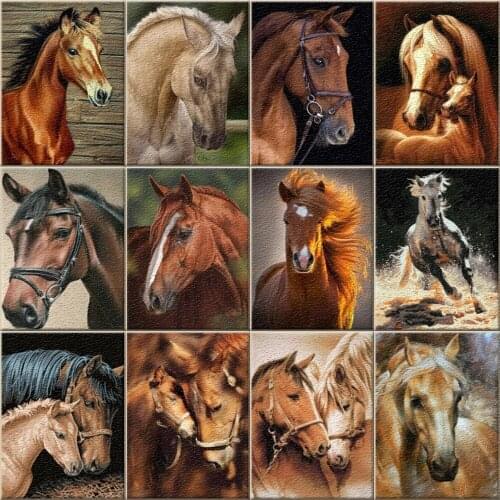 DIY Painting By Numbers Horse Series Drawing Sets Handmade Gifts Drawing On Canvas Kits Animal Home Decor For Living Room Gifts