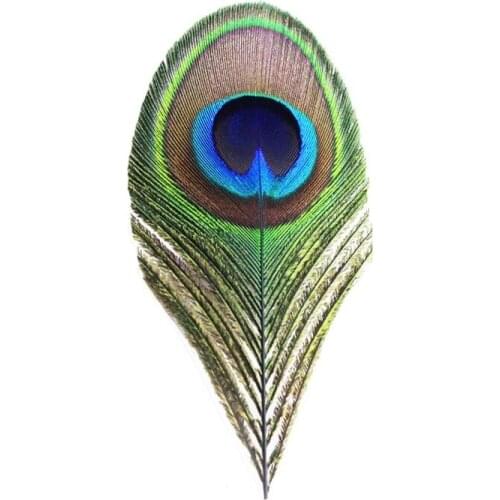 Epoxy Master Decorative Feathers