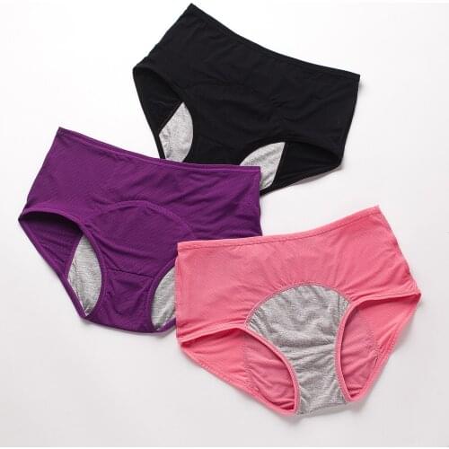 2Pcs Leak Proof Menstrual Briefs Sexy Pants Incontinence Environmetal Underwear Period Panties High Warm Female Women Panties