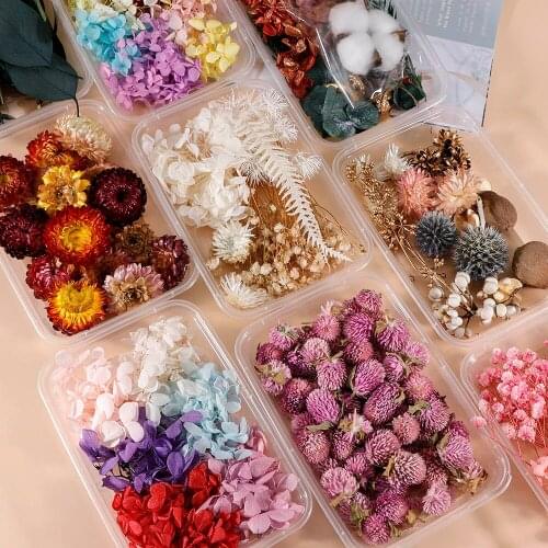 1Box Real Dried Flower Nail Decoration Tips 3D Natural Dry Flower Stickers DIY Creativity Nail Art Decals Polish Manicure Tools