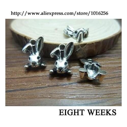 Zinc alloy pendant jewelry accessories diy handmade material charms alice rabbit 10 * 13 mm