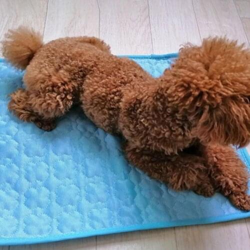 Cooling Mat Comfortable Breathable Fabric Dog Cooling Mat for Summer
