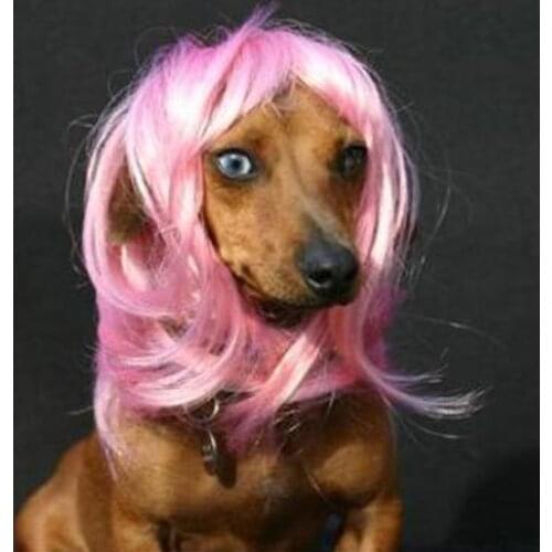 Short Brown Pet Cat Dog Bobo Wig Pet Christmas Halloween Paryt Accessories Cap Hat