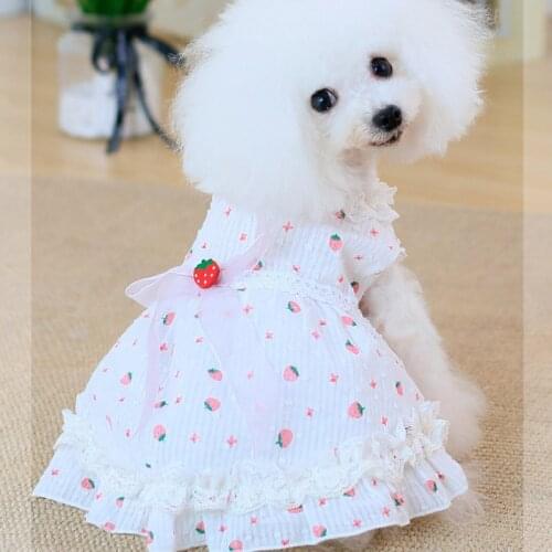 Pet Clothes Dog Dress Strawberry Lace Dog Skirt S Summer Pomeranian Teddy Yorkshire Corgi Bichon Shih Tzus Costume Drop Shipping