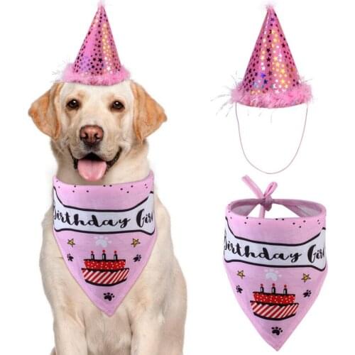 Pet Dogs Bibs Birthday Party Costume Design Head-wear Caps Cat Dog Hat Christmas Bandana Hat Scarf Pets Accessories Supplies