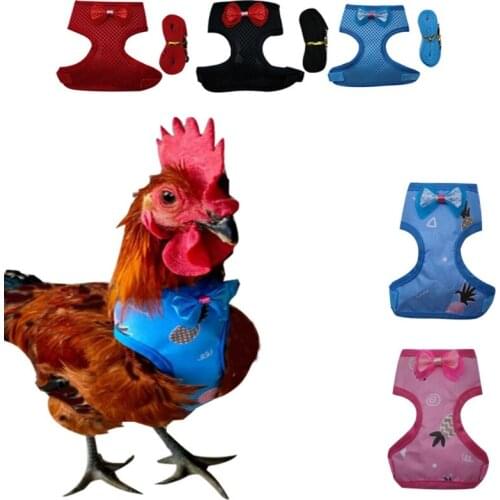 Adjustable Chicken Harness with Leash Comfortable Hen Vest Breathable Training Harness and Leash for Farm Duck Goose Rooster